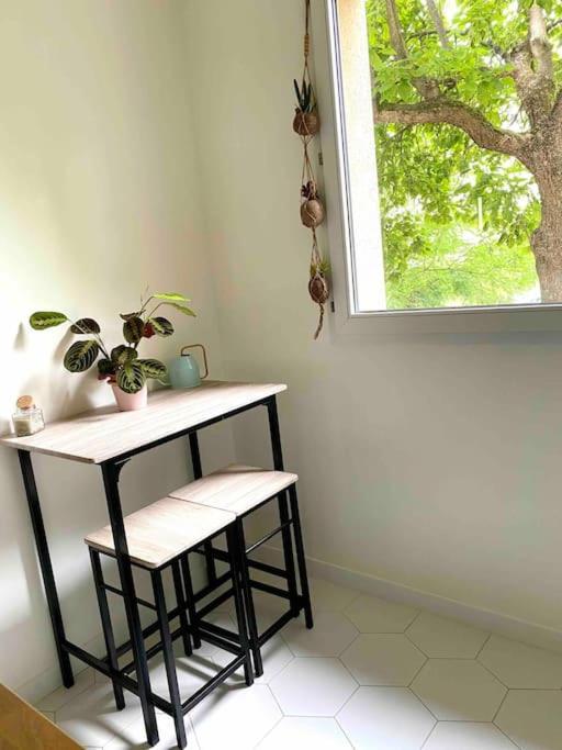 Mon Cocoon Toulousain Cosy Appartement Idealement Situe Тулуза Экстерьер фото